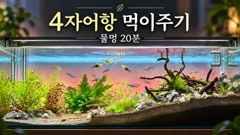 네 자 어항 먹이주기와 20분 물멍 대표이미지